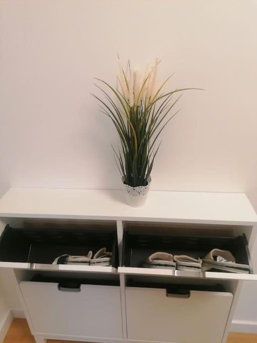 בלגרד Apartment Green Lux מראה חיצוני תמונה